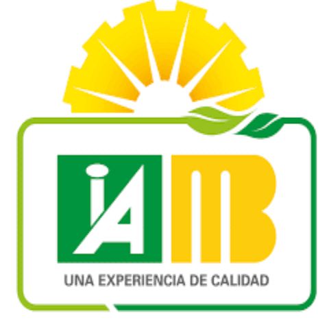INDUSTRIAS ALIMENTARIAS SAC